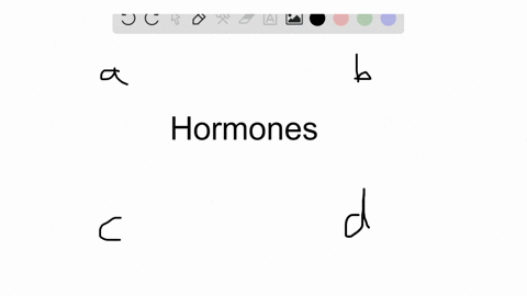 which-of-the-following-hormones-increases-blood-calcium-levels-a-calcitonin-b-parathyroid-hormone--2