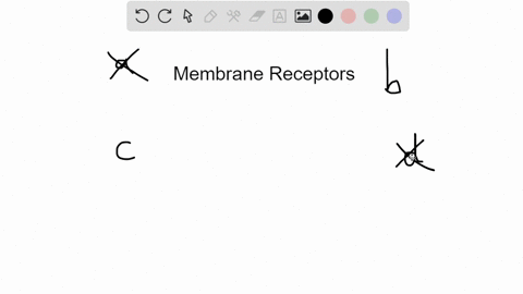 a-membrane-receptor-a-binds-a-ligand-once-it-enters-the-cell-b-transmits-a-signal-from-the-outside-o