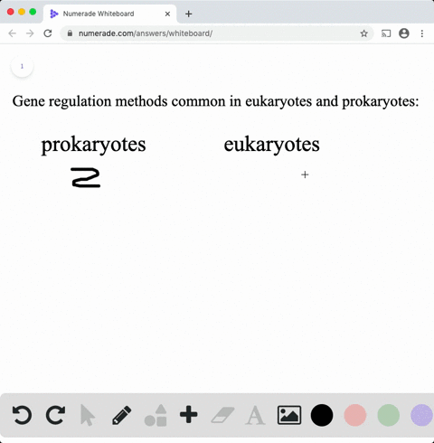 which-of-the-following-methods-of-gene-regulation-do-eukaryotes-and-prokaryotes-have-in-common-a-e-2