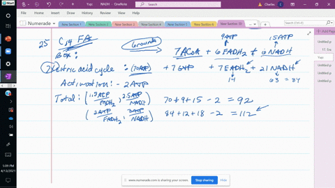 calculate-the-number-of-atp-molecules-obtained-in-the-beta-oxidation-of-myristic-acid-mathrmch_3le-3