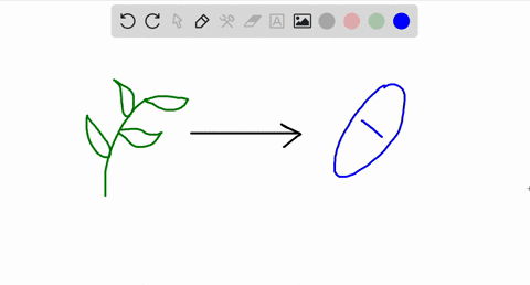 describe-two-types-of-compounds-from-living-things-that-are-used-as-medications-2