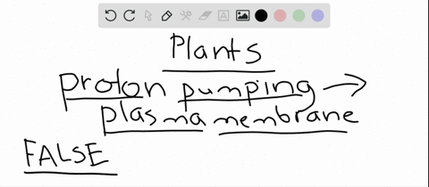 which-statement-about-proton-pumping-across-the-plasma-membrane-of-plants-is-not-true-a-it-require-2