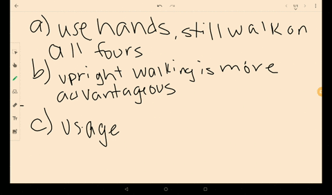 Understanding Knuckle Walking Animals A Must Read For Nature Lovers - gmbzj83