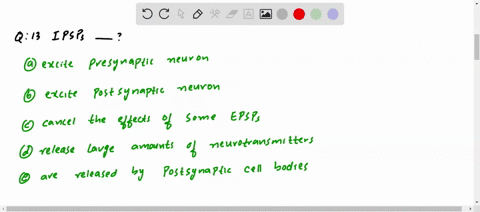 ipsps-a-excite-presynaptic-neurons-b-excite-postsynaptic-neurons-mathrmc-cancel-the-effects-of-some-