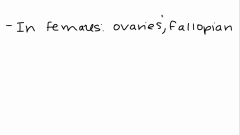 describe-the-male-and-female-reproductive-structures-2