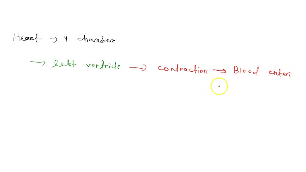 SOLVED:Where is the accessory pathway located? A. Left lateral. B. Left ...