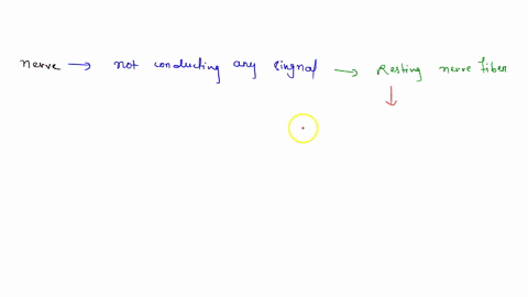 which-of-these-correctly-describes-the-distribution-of-ions-on-either-side-of-an-axon-when-it-is-n-3