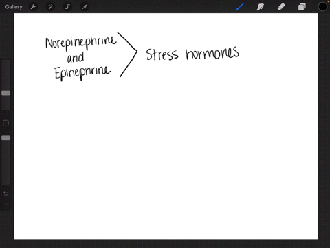 the-stress-hormones-epinephrine-and-norepinephrine-are-released-from-where-a-parasympathetic-nervous