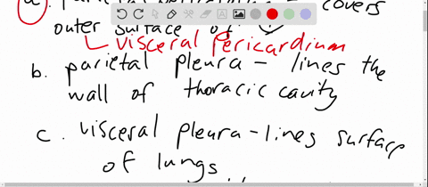 which-of-the-following-relationships-is-incorrect-a-visceral-peritoneumouter-surface-of-small-intest