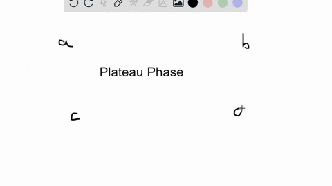 the-influx-of-which-ion-accounts-for-the-plateau-phase-a-sodium-b-potassium-c-chloride-d-calcium
