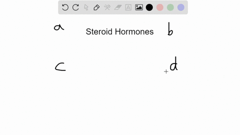 the-action-of-steroid-hormones-is-often-longer-lived-than-that-of-peptide-hormones-this-is-because-t