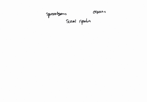 how-does-spermatogenesis-differ-from-oogenesis-and-how-are-the-processes-similar