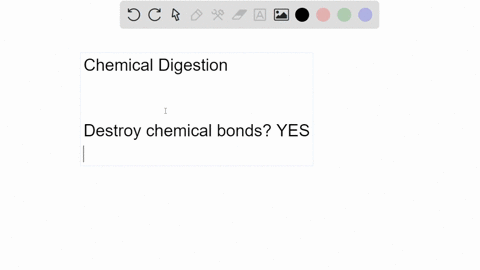 chemical-digestion-destroys-chemical-bonds-creating-more-surface-area-for-continued-digestion-a-true
