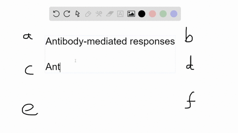 antibody-mediated-responses-are-most-effective-against-______-a-intracellular-pathogens-b-extracellu