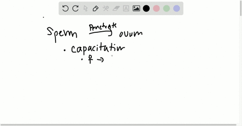 sperm-must-first-complete-______________-to-enable-the-fertilization-of-an-oocyte-a-capacitation-b-t