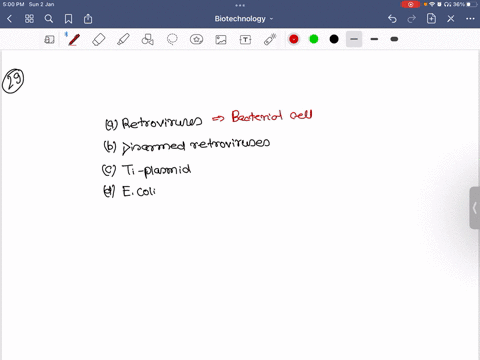 which-vector-is-use-to-deliver-gene-in-animal-cell-a-retroviruses-b-disarmed-retroviruses-c-ti-plasm