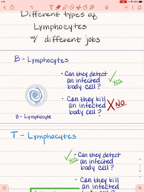 questions-6-10-refer-to-terms-below-a-t-lymphocytes-b-b-lymphocytes-c-macrophages-d-antibodies-e-h-5
