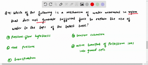which-of-the-following-is-a-mechanism-of-water-movement-in-xylem-that-does-not-generate-sufficient-f
