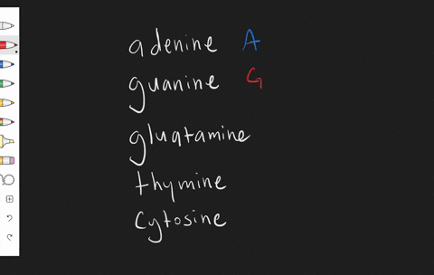 which-is-not-a-nucleotide-base-in-dna-a-adenine-b-guanine-c-glutamine-d-thymine-e-cytosine-f-all-are
