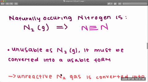 define-nitrogen-fixation-what-organisms-are-capable-of-nitrogen-fixation