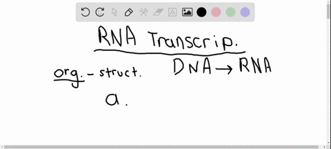 which-of-the-following-cellular-organelles-is-most-closely-associated-with-the-transcription-activit