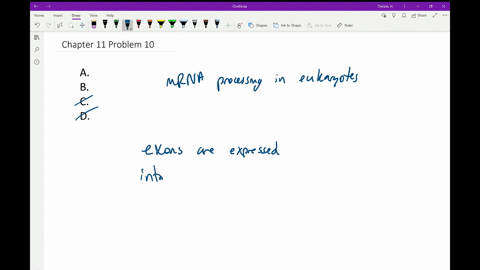 mature-mrna-from-a-eukaryote-would-contain-each-of-these-features-except-which-of-the-following-a-ex