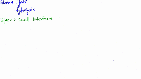 lipases-break-down-triacylglycerols-by-catalyzing-hydrolysis-what-are-the-products-of-this-hydrolysi