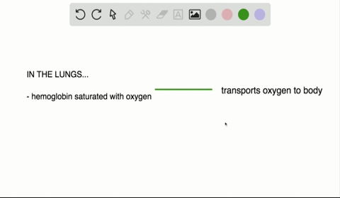 the-majority-of-oxygen-in-the-blood-is-transported-by-___________________-a-dissolution-in-the-blood