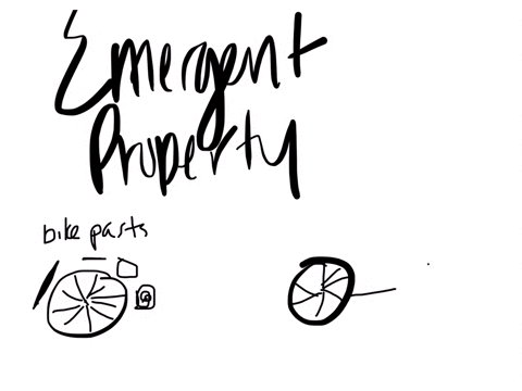 write-a-short-essay-100-150-words-on-this-topic-life-is-an-emergent-property-that-appears-at-the-lev