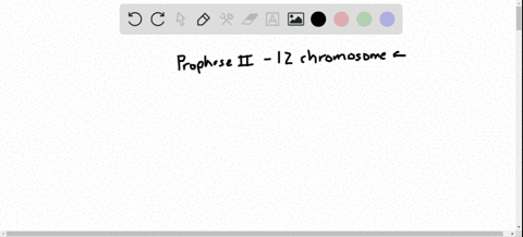 a-cell-in-prophase-ii-of-meiosis-contains-12-chromosomes-how-many-chromosomes-would-be-present-in--2
