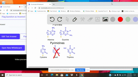 what-are-the-base-pairing-rules-for-dna-a-mathrmg-mathrmc-mathrmt-mathrmc-b-mathrma-mathrmc-mathrmt-