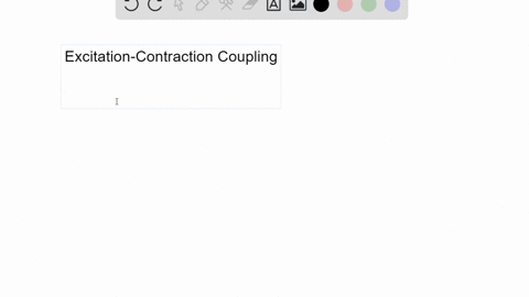 explain-what-is-meant-by-the-term-excitation-contraction-coupling