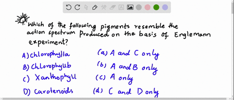 which-of-the-following-pigments-resemble-the-action-spectrum-produced-on-the-basis-of-engelmann-expe