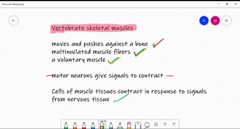which-of-the-following-is-not-true-a-vertebrate-skeletal-muscle-______-a-contracts-in-response-to-si