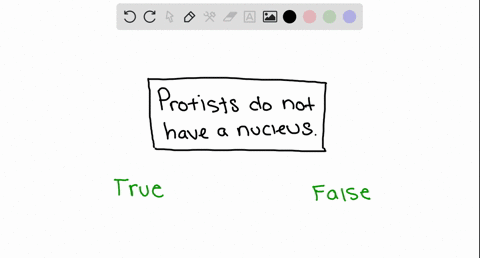 true-or-false-some-protists-have-no-nucleus