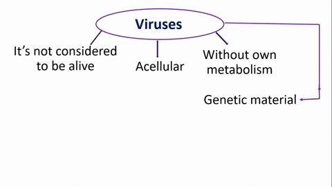 which-of-the-following-is-common-in-animal-viruses-but-not-in-bacteriophage-a-quad-dna-c-envelope-b-