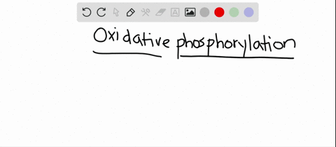 which-statement-about-oxidative-phosphorylation-is-n-o-t-true-a-it-forms-atp-by-the-respiratory-chai