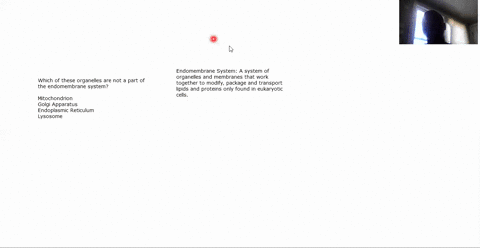 which-of-the-following-is-not-a-component-of-the-endomembrane-system-a-mitochondrion-b-golgi-apparat