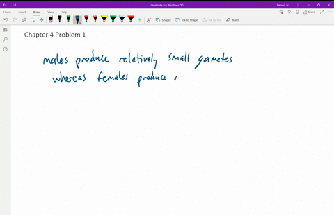 what-is-considered-to-be-the-fundamental-difference-between-males-and-females-of-most-organisms-2