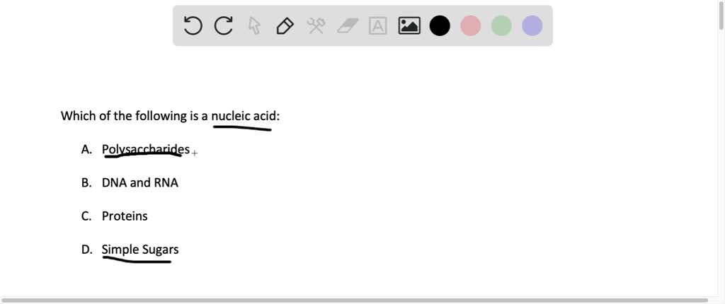 solved-examples-of-nucleic-acids-are-a-polysaccharides-b