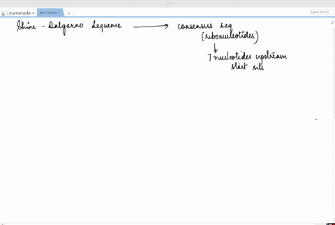how-would-the-deletion-of-the-shine-dalgarno-sequence-affect-a-bacterial-mrna-2
