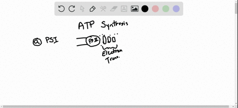 which-complex-is-not-involved-in-the-establishment-of-conditions-for-atp-synthesis-a-photosystem-i-b