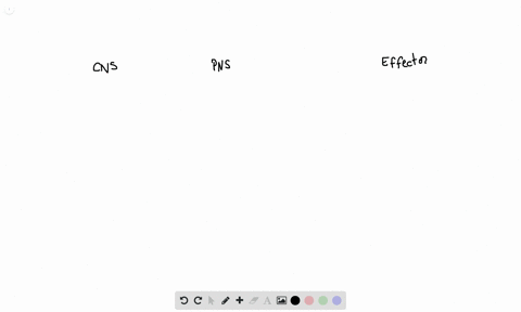 which-of-these-statements-about-autonomic-neurons-is-correct-a-they-are-motor-neurons-b-preganglioni