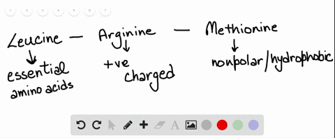 you-have-been-identifying-the-sequence-of-a-segment-of-a-protein-the-sequence-to-date-is-leucine-met