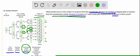 inspect-figure-3-10-what-would-be-the-outcome-in-the-octad-if-on-rare-occasions-a-nucleus-from-the-2
