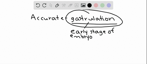 SOLVED:Which statement about gastrulation is true? a. In frogs, gastrulation begins in the vegetal hemisphere. b. In sea urchins, gastrulation produces the notochord. c . In birds, cells from the epiblast move SOLVED:Which statement about gastrulation is true? a. In frogs, gastrulation begins in the vegetal hemisphere. b. In sea urchins, gastrulation produces the notochord. c . In birds, cells from the epiblast move