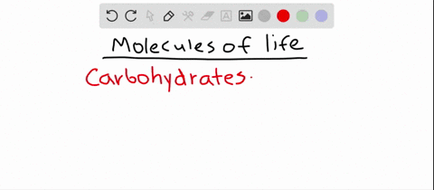 name-the-molecules-of-life-and-the-families-of-small-organic-compounds-from-which-they-are-built