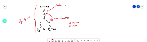 which-of-the-following-molecules-is-likely-to-have-the-most-potential-energy-a-a-t-p-b-a-d-p-c-gluco
