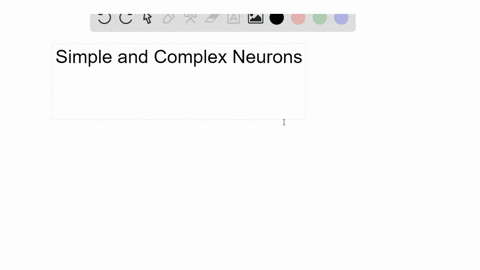 how-could-a-researcher-determine-whether-a-given-neuron-in-the-visual-cortex-is-simple-or-complex-3