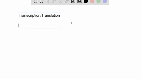transcription-and-translation-are-coupled-in-prokaryotes-why-is-this-not-the-case-in-eukaryotes